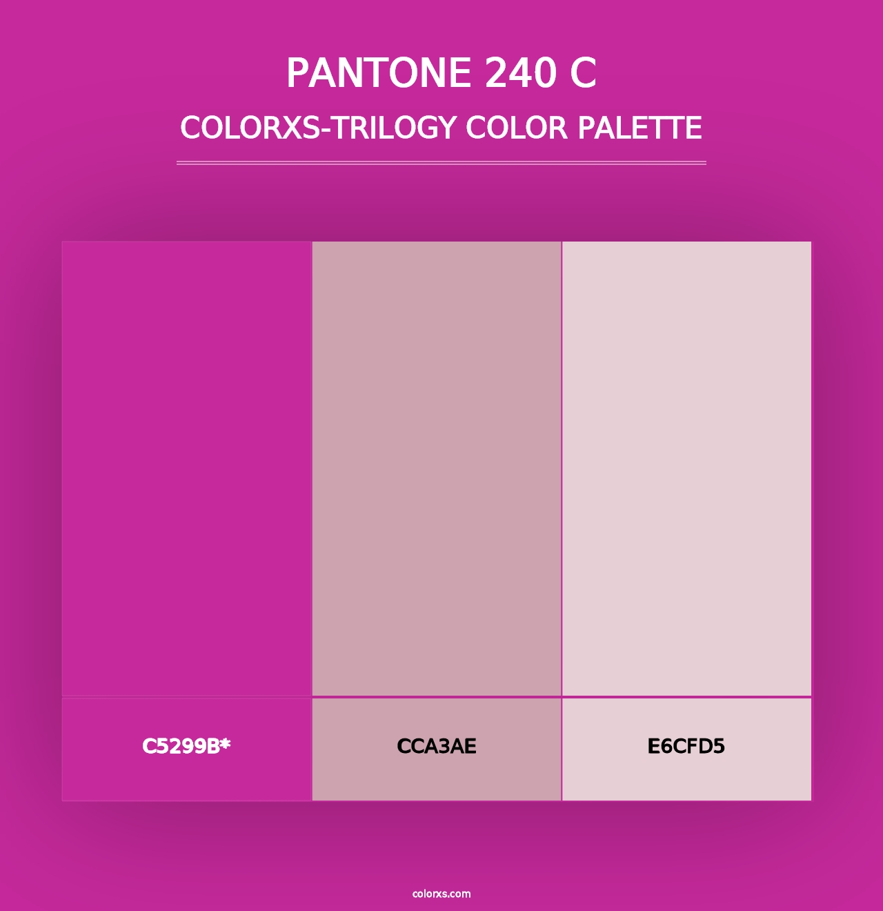 PANTONE 240 C - Colorxs Trilogy Palette