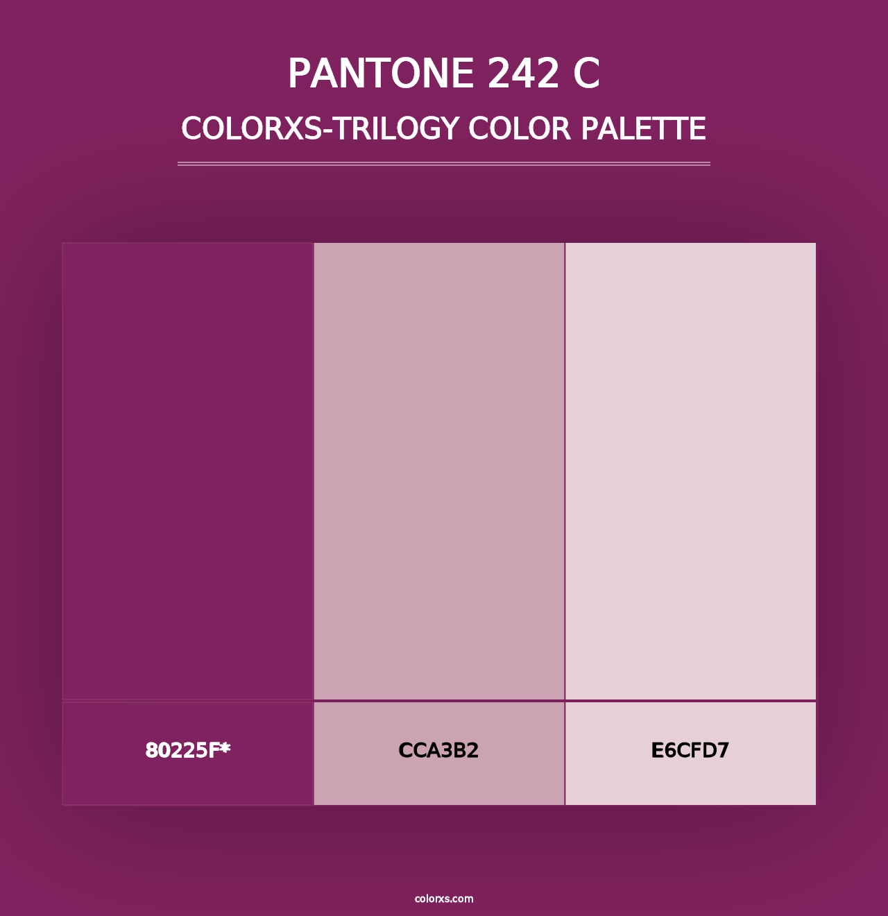 PANTONE 242 C - Colorxs Trilogy Palette