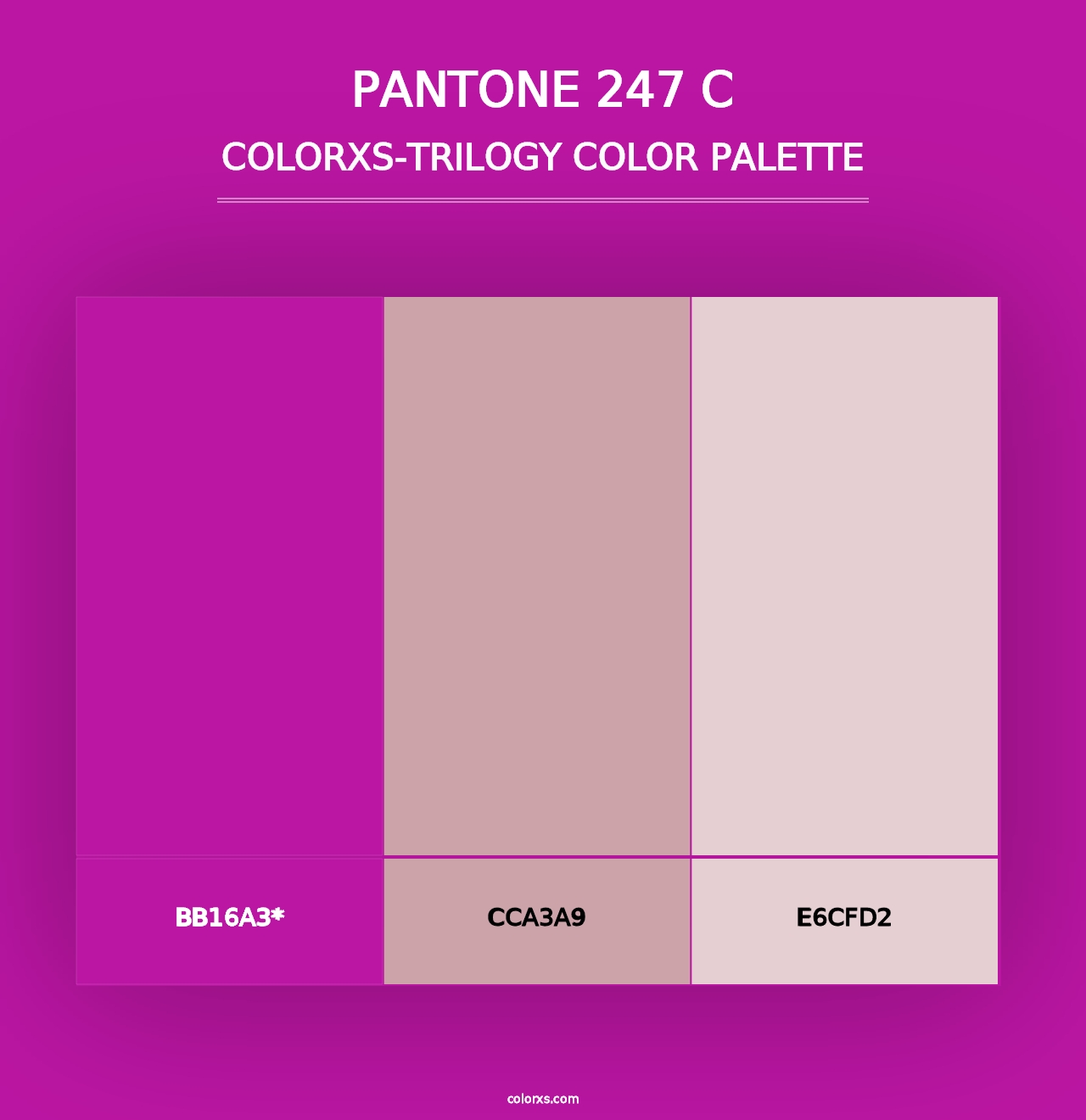 PANTONE 247 C - Colorxs Trilogy Palette