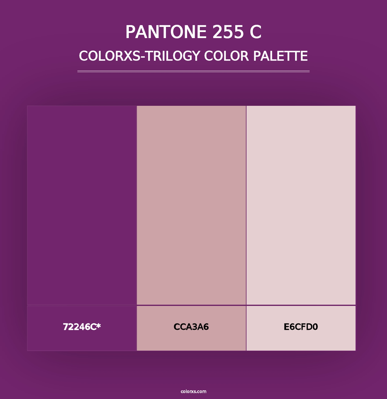 PANTONE 255 C - Colorxs Trilogy Palette