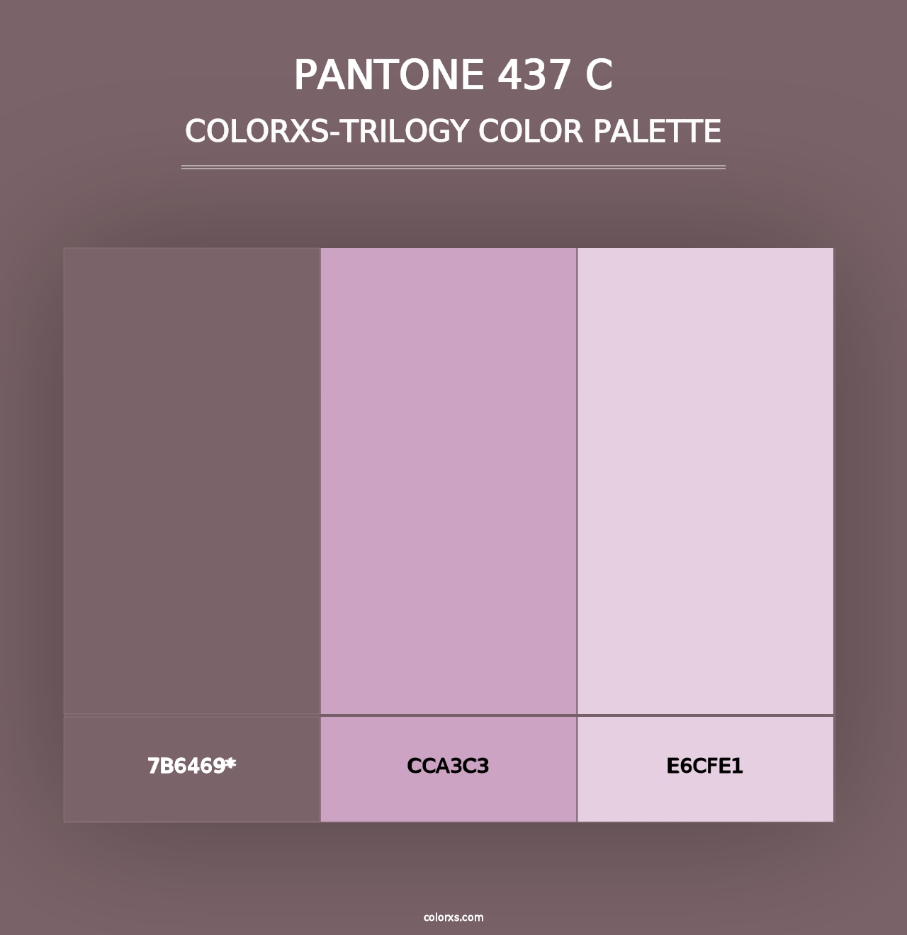 PANTONE 437 C - Colorxs Trilogy Palette