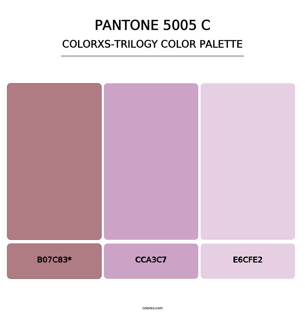 PANTONE 5005 C - Colorxs Trilogy Palette