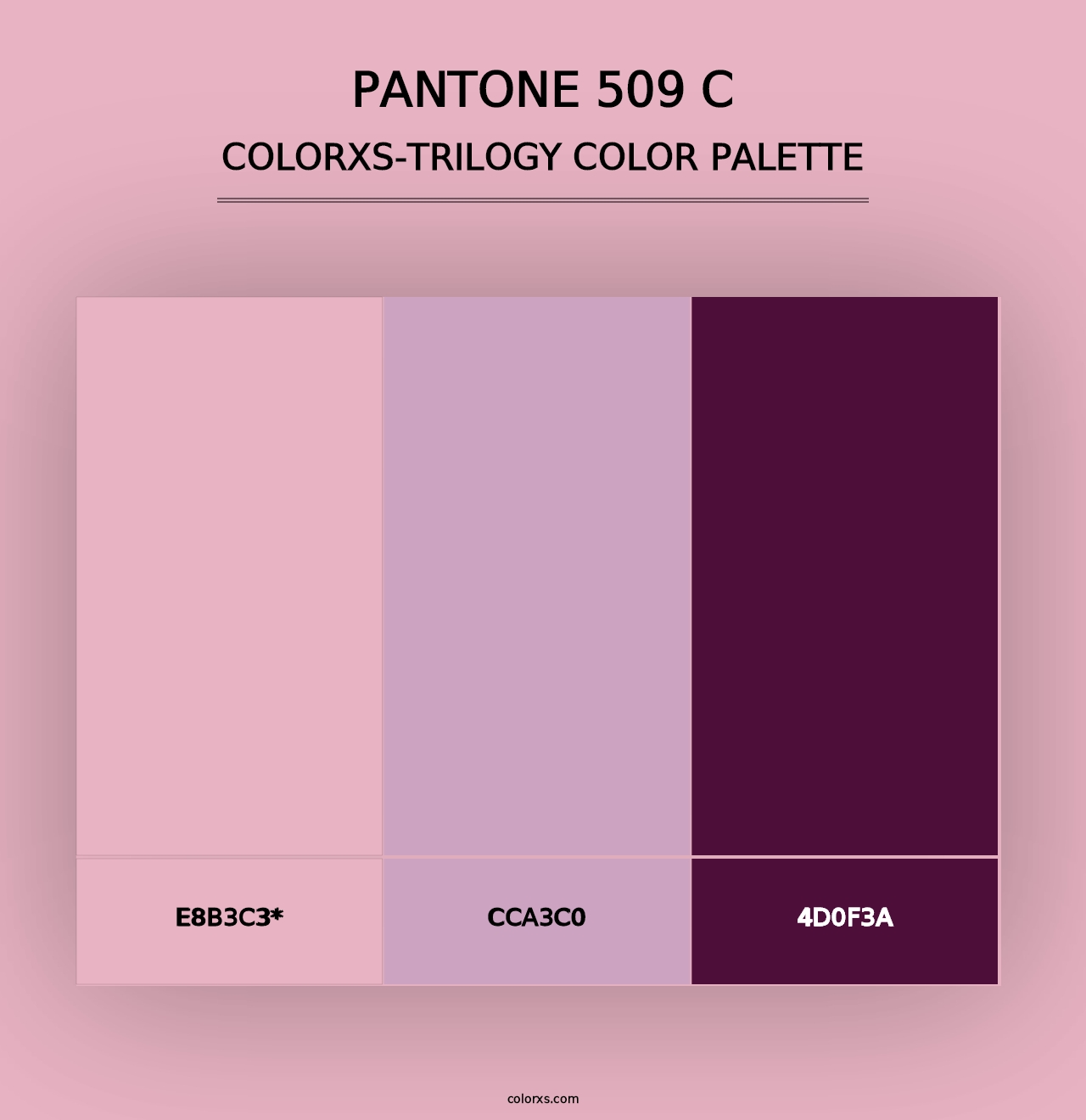 PANTONE 509 C - Colorxs Trilogy Palette