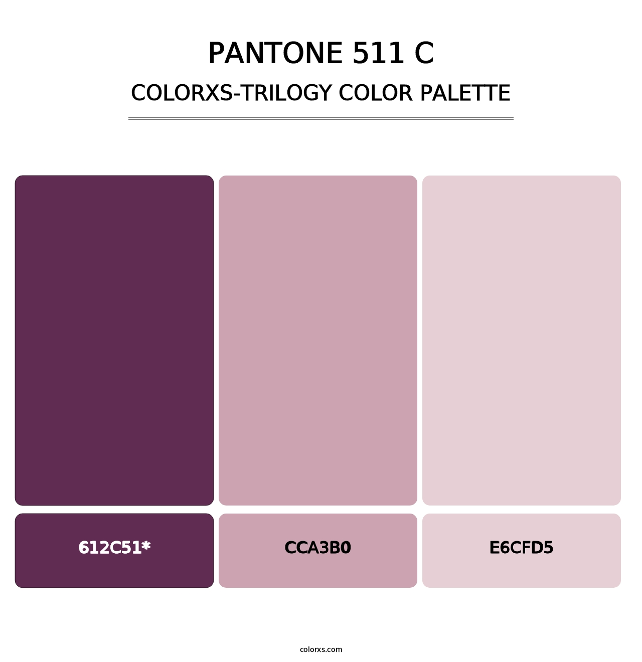 PANTONE 511 C - Colorxs Trilogy Palette