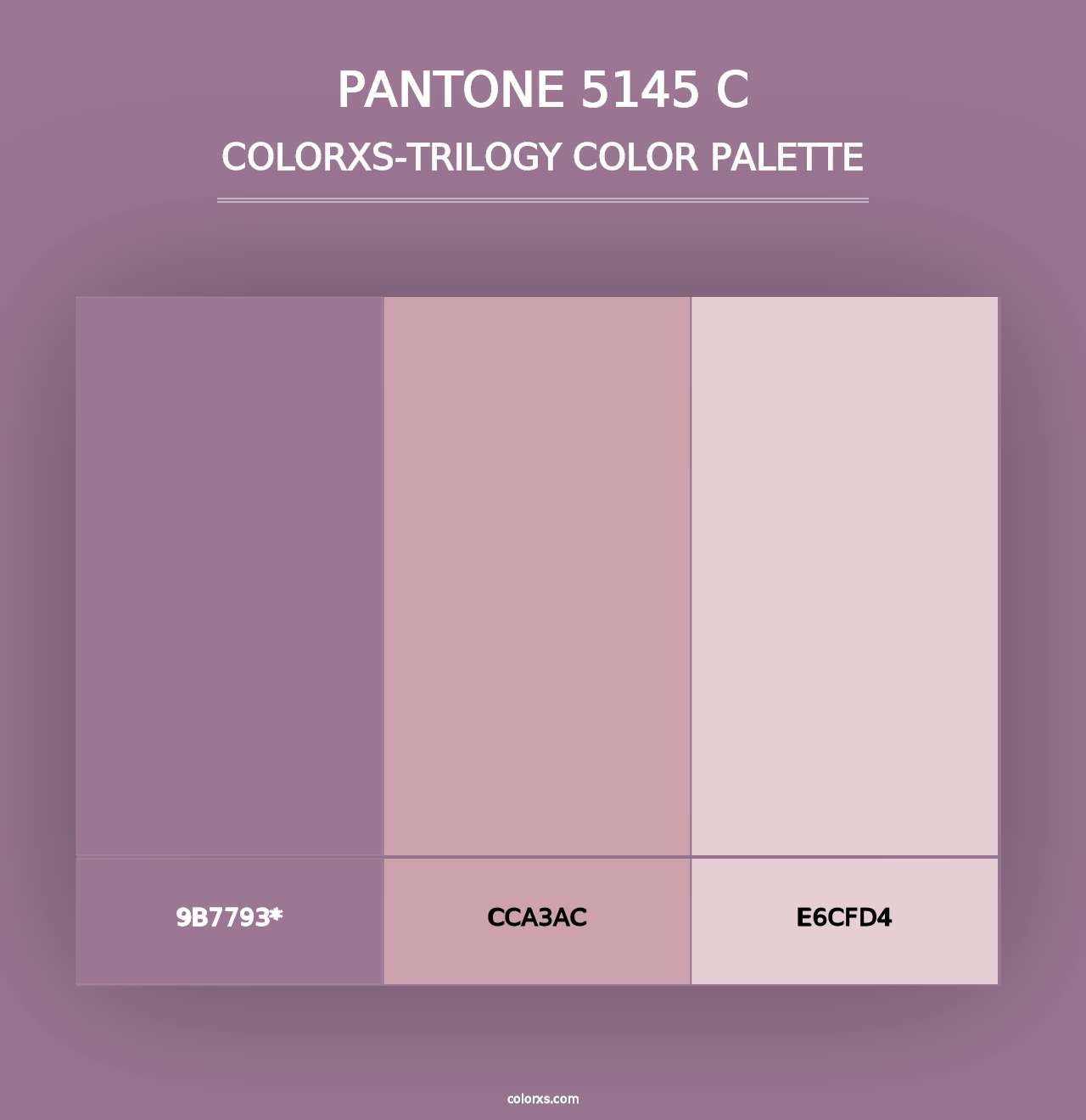 PANTONE 5145 C - Colorxs Trilogy Palette