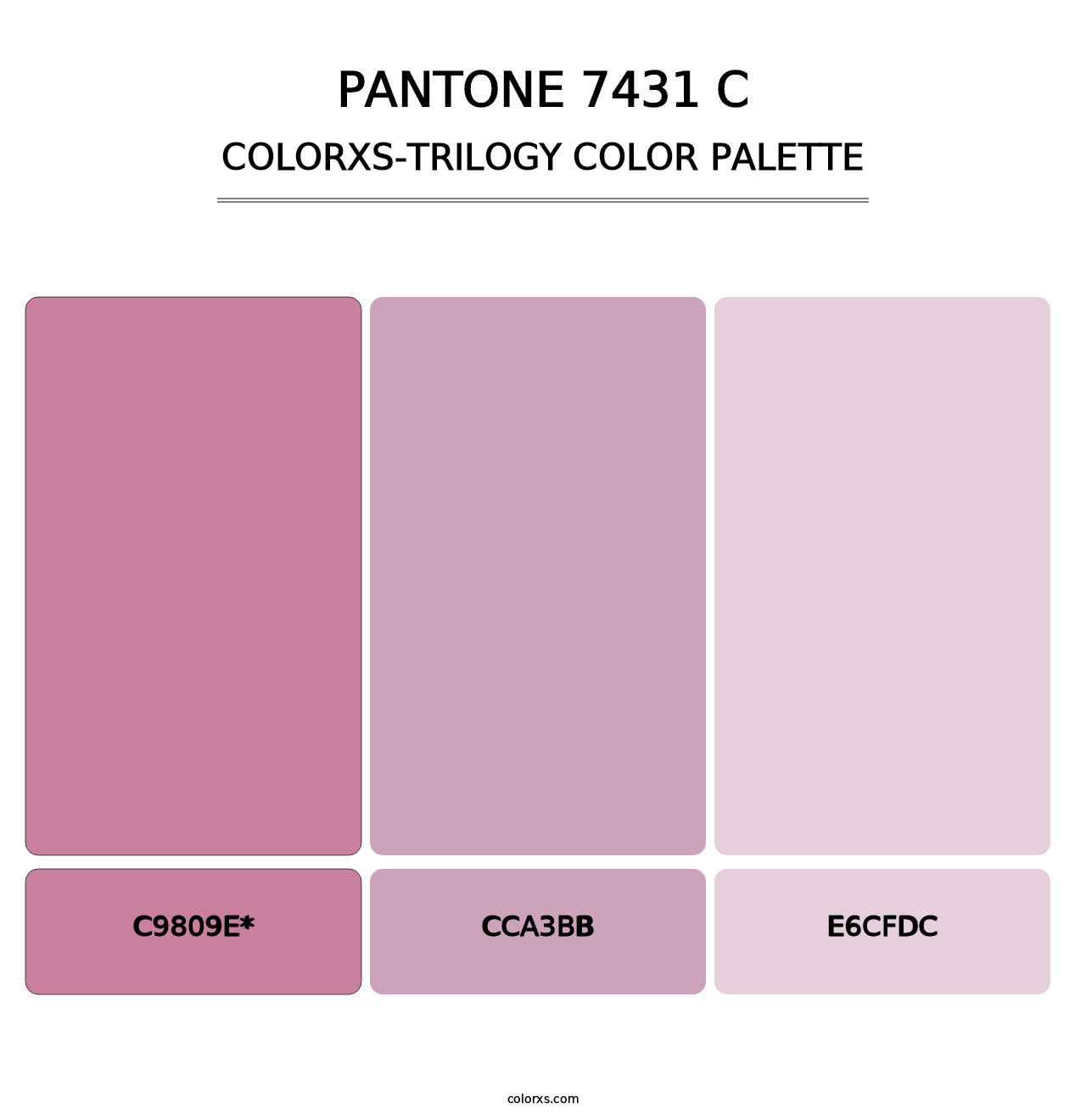 PANTONE 7431 C - Colorxs Trilogy Palette