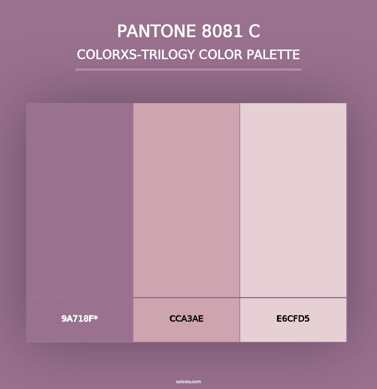 PANTONE 8081 C - Colorxs Trilogy Palette