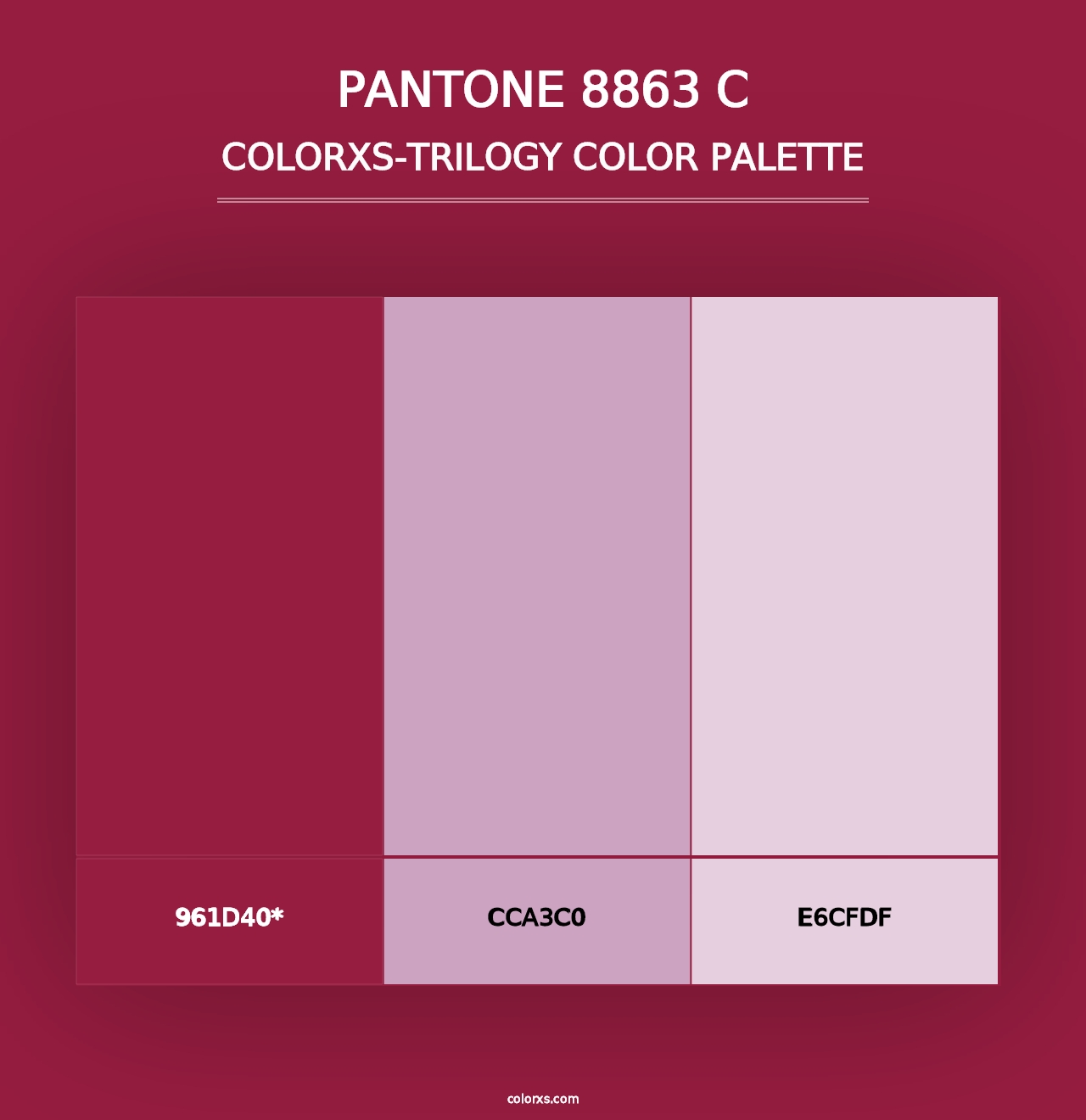 PANTONE 8863 C - Colorxs Trilogy Palette