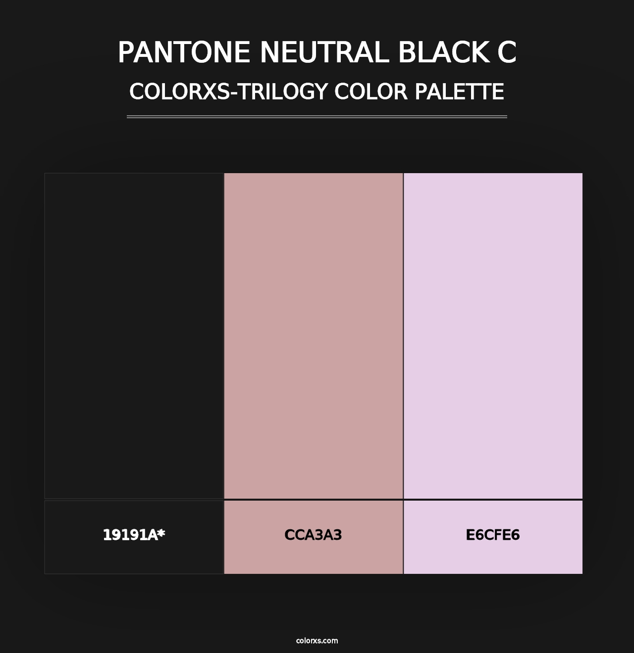 PANTONE Neutral Black C - Colorxs Trilogy Palette