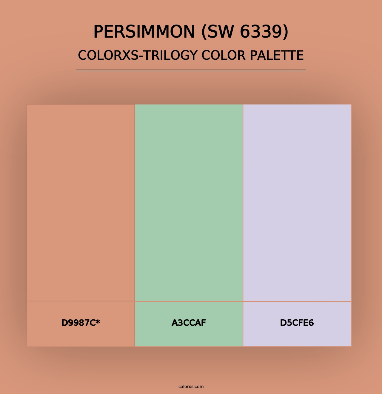 Persimmon (SW 6339) - Colorxs Trilogy Palette