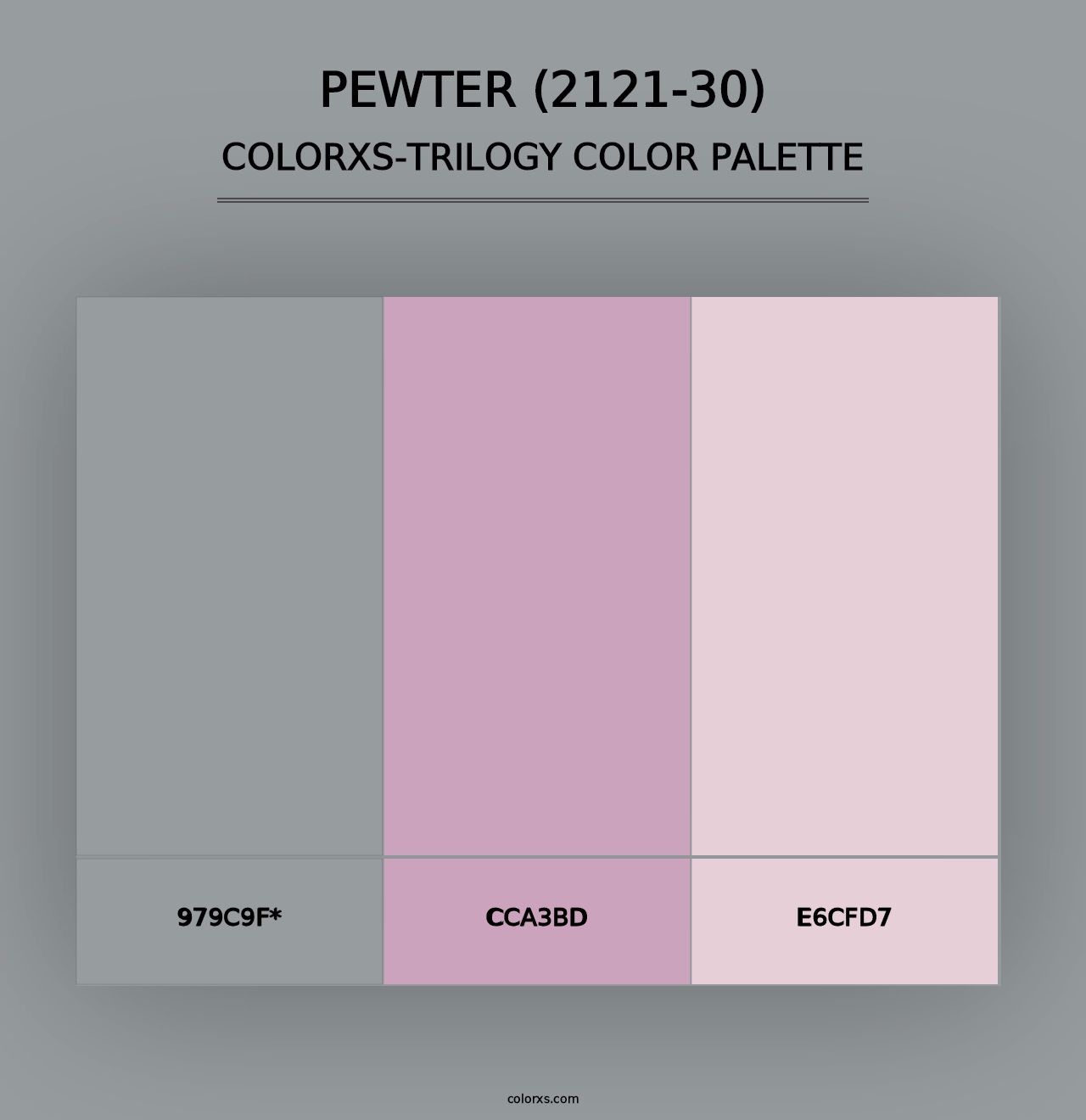 Pewter (2121-30) - Colorxs Trilogy Palette