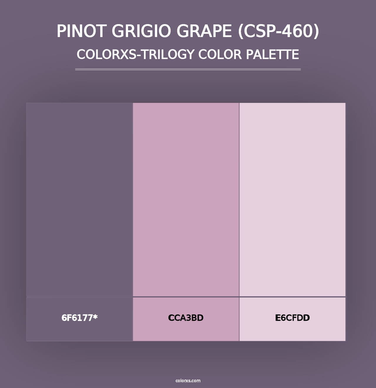 Pinot Grigio Grape (CSP-460) - Colorxs Trilogy Palette