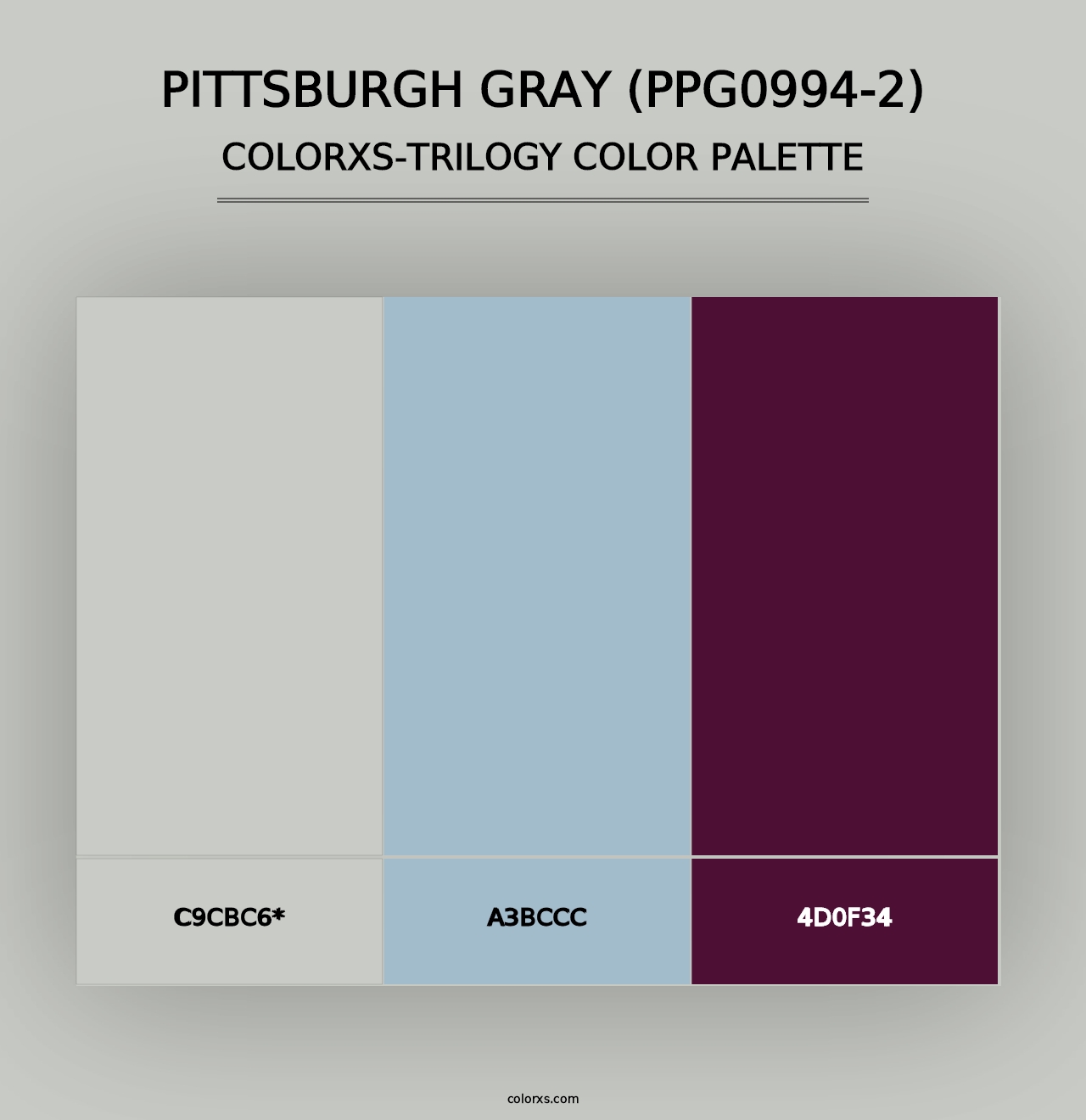 Pittsburgh Gray (PPG0994-2) - Colorxs Trilogy Palette