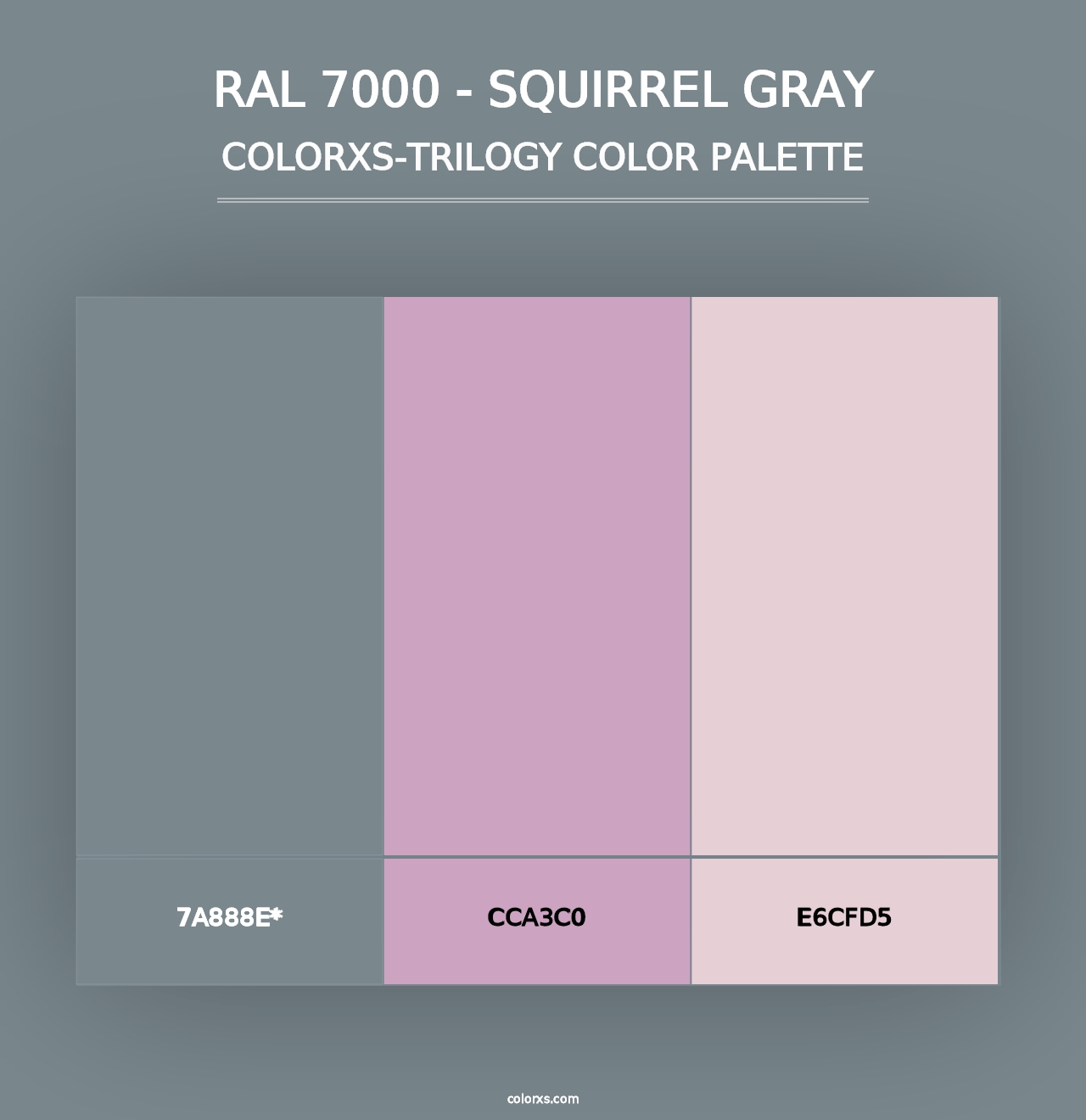 RAL 7000 - Squirrel Gray - Colorxs Trilogy Palette