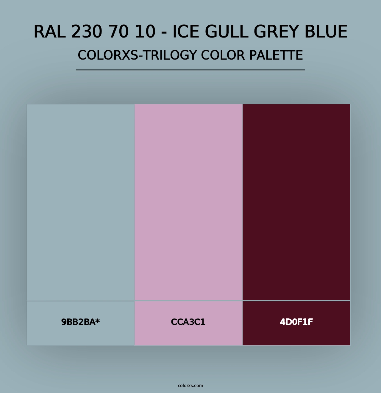 RAL 230 70 10 - Ice Gull Grey Blue - Colorxs Trilogy Palette