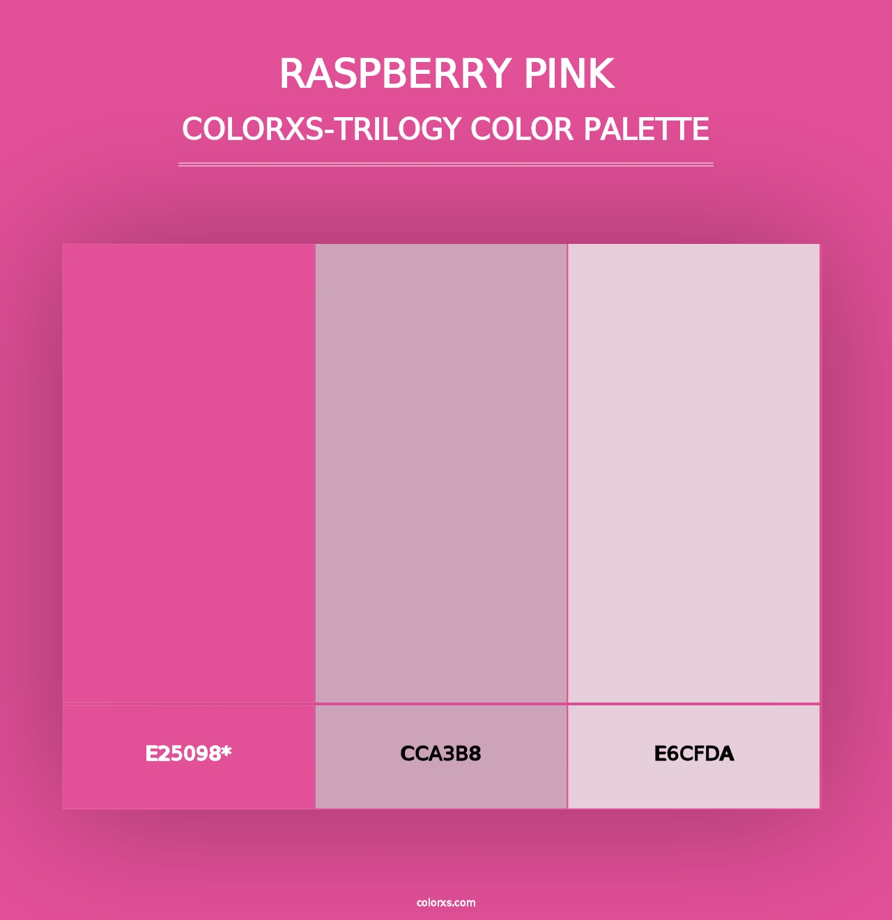 Raspberry Pink - Colorxs Trilogy Palette