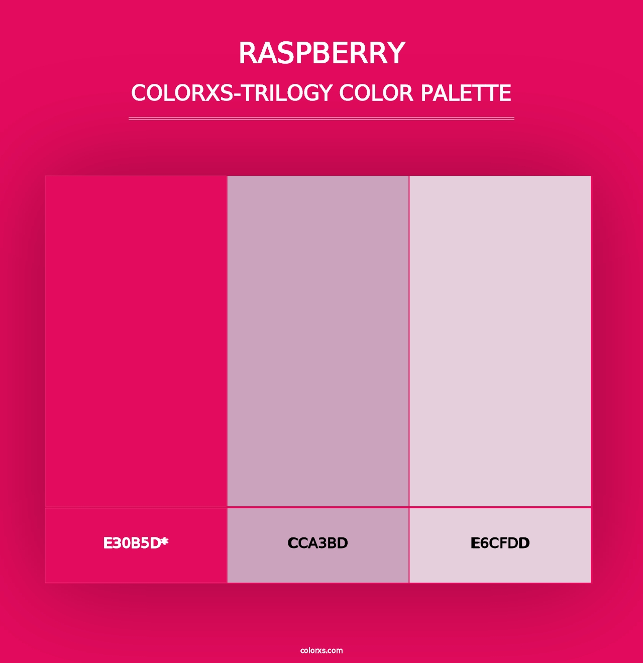 Raspberry - Colorxs Trilogy Palette