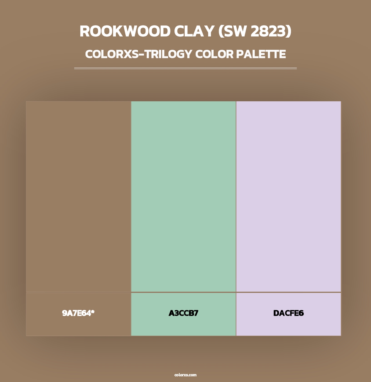 Rookwood Clay (SW 2823) - Colorxs Trilogy Palette