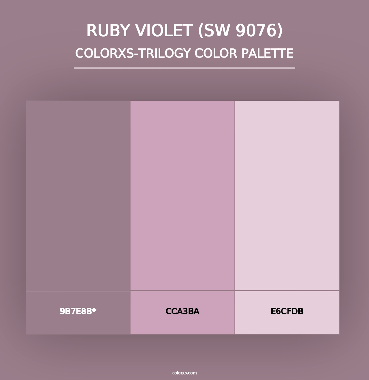 Ruby Violet (SW 9076) - Colorxs Trilogy Palette