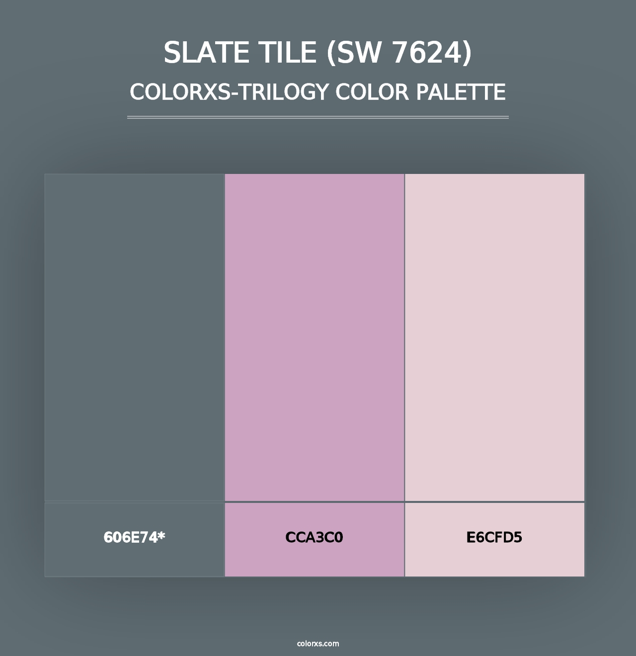 Slate Tile (SW 7624) - Colorxs Trilogy Palette