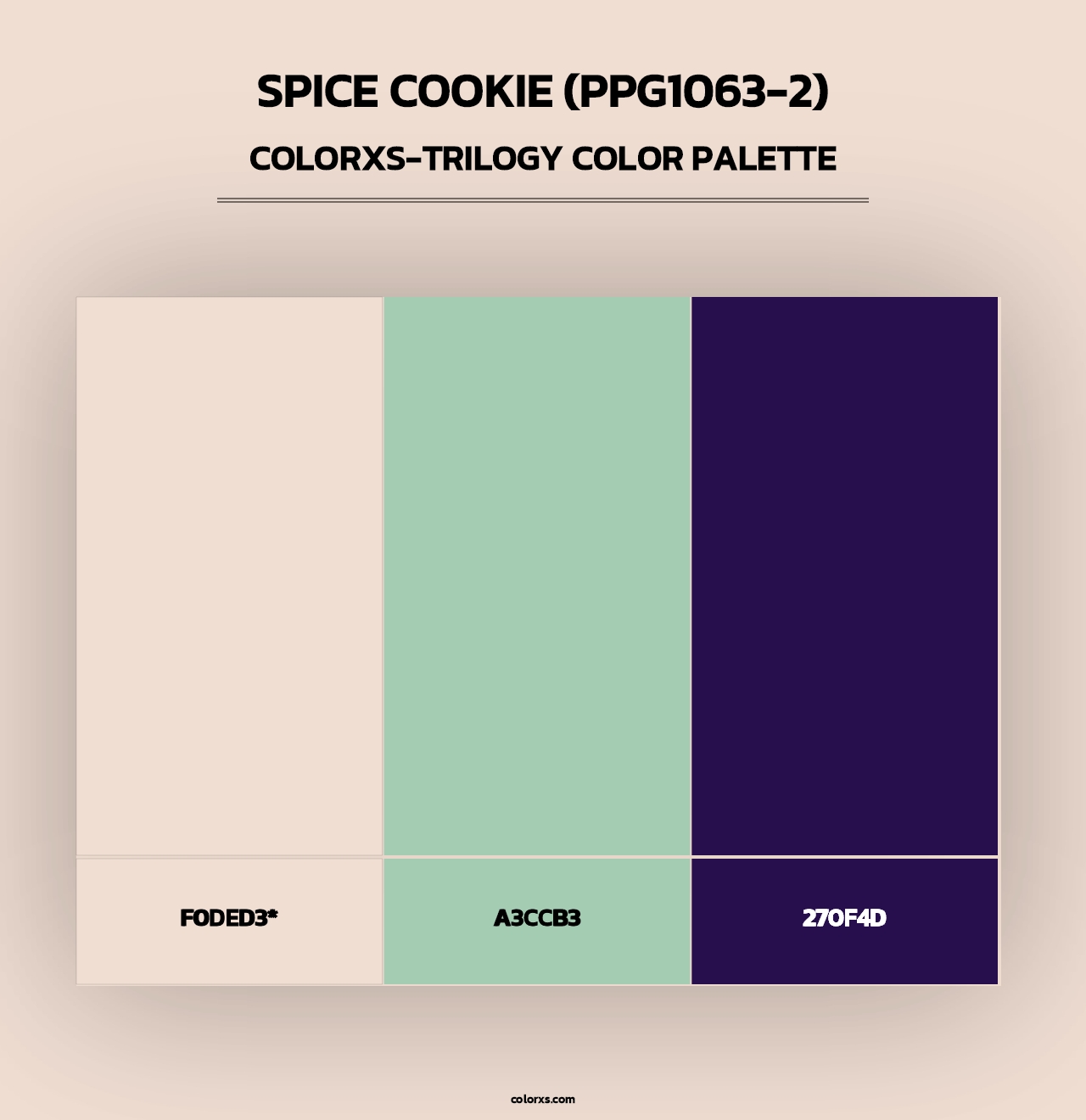 Spice Cookie (PPG1063-2) - Colorxs Trilogy Palette