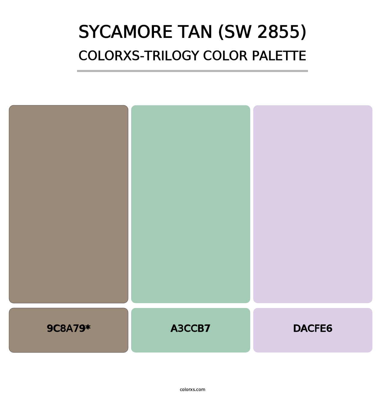 Sycamore Tan (SW 2855) - Colorxs Trilogy Palette