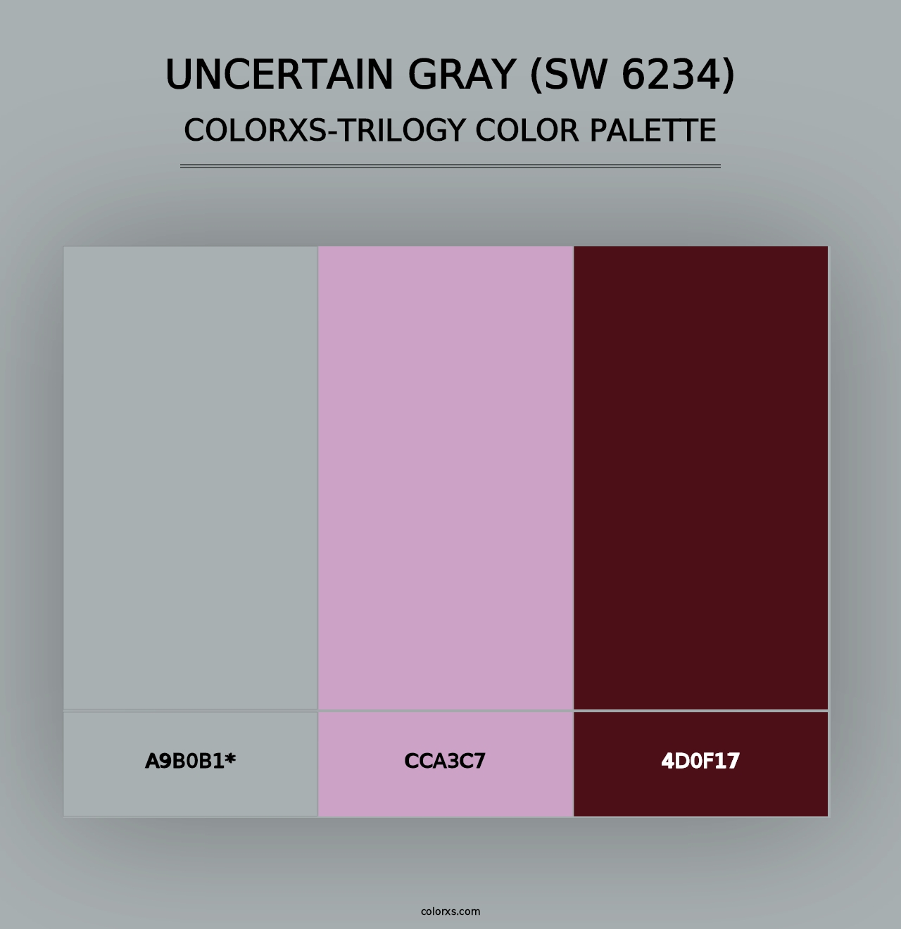 Uncertain Gray (SW 6234) - Colorxs Trilogy Palette