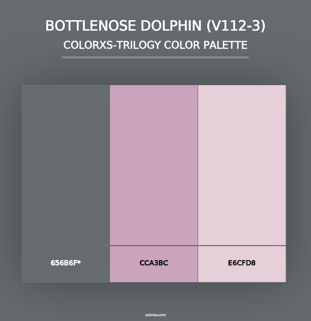 Bottlenose Dolphin (V112-3) - Colorxs Trilogy Palette