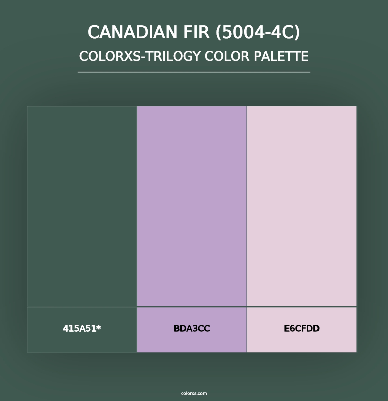 Canadian Fir (5004-4C) - Colorxs Trilogy Palette