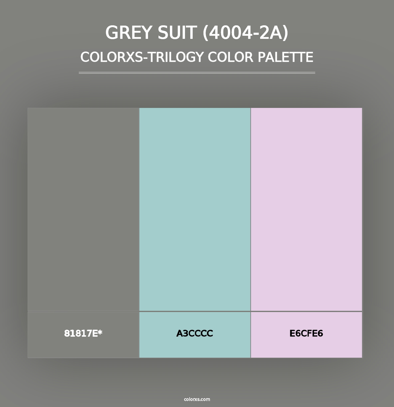 Grey Suit (4004-2A) - Colorxs Trilogy Palette