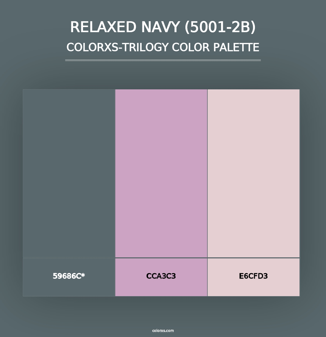 Relaxed Navy (5001-2B) - Colorxs Trilogy Palette