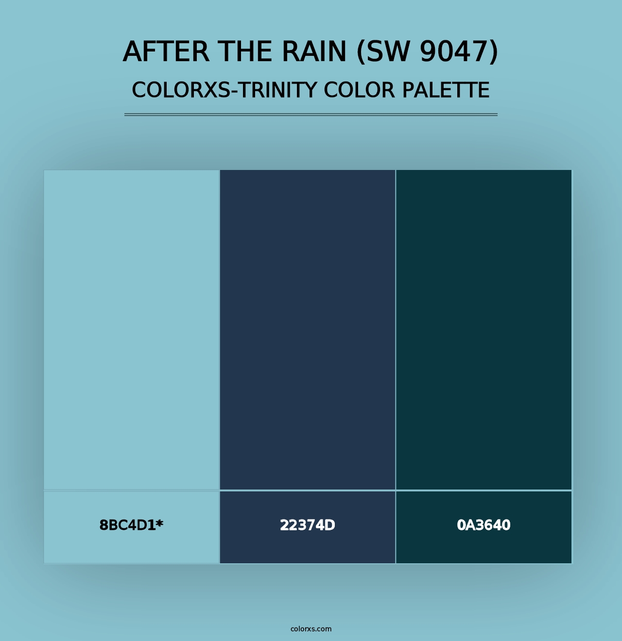 After the Rain (SW 9047) - Colorxs Trinity Palette