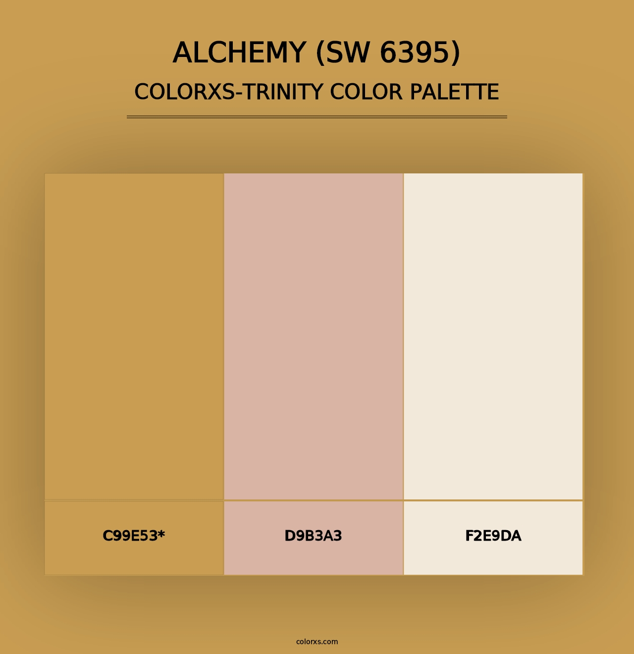 Alchemy (SW 6395) - Colorxs Trinity Palette