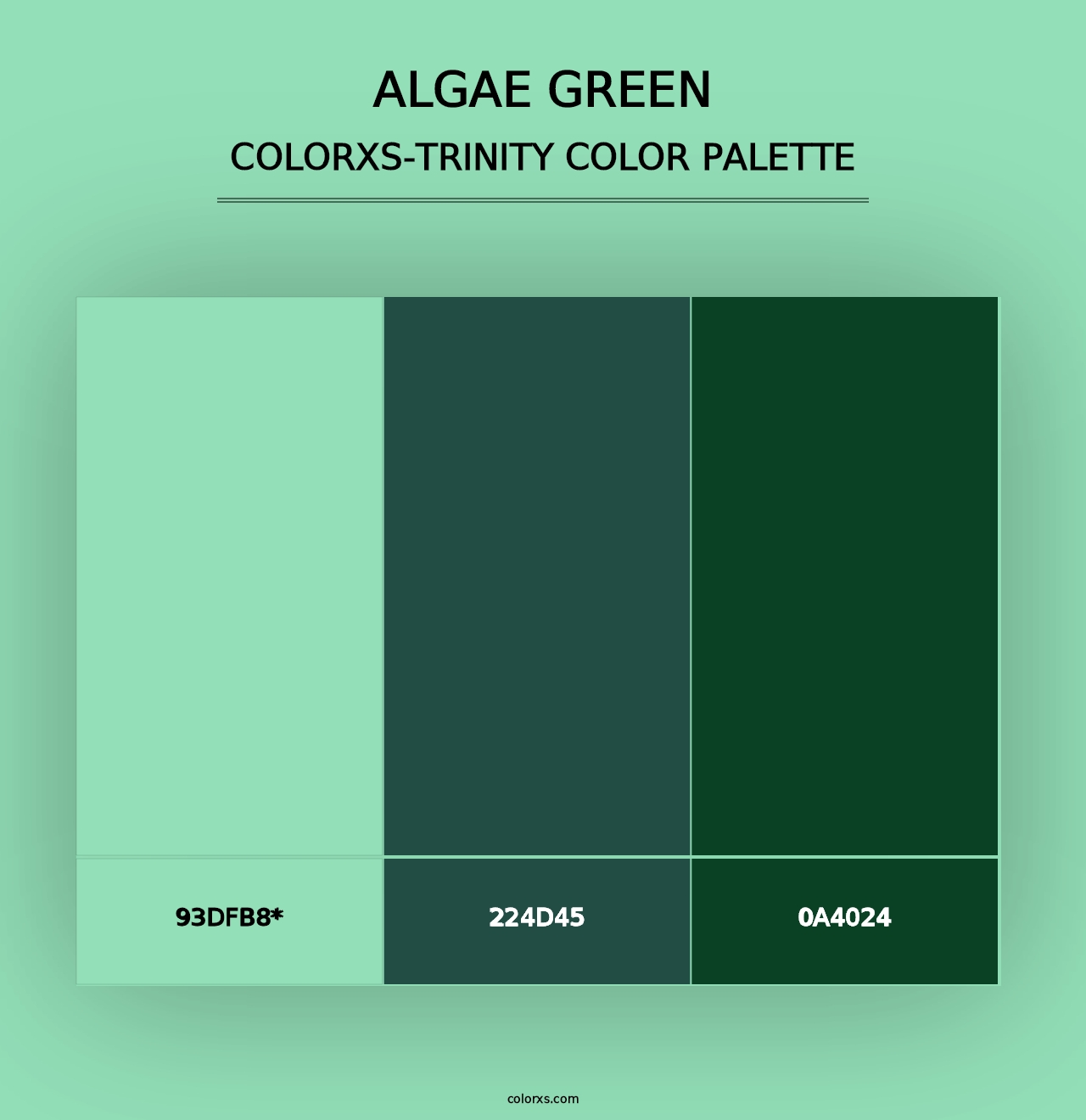 Algae Green - Colorxs Trinity Palette