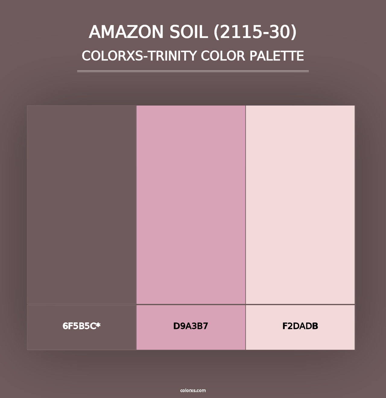 Amazon Soil (2115-30) - Colorxs Trinity Palette