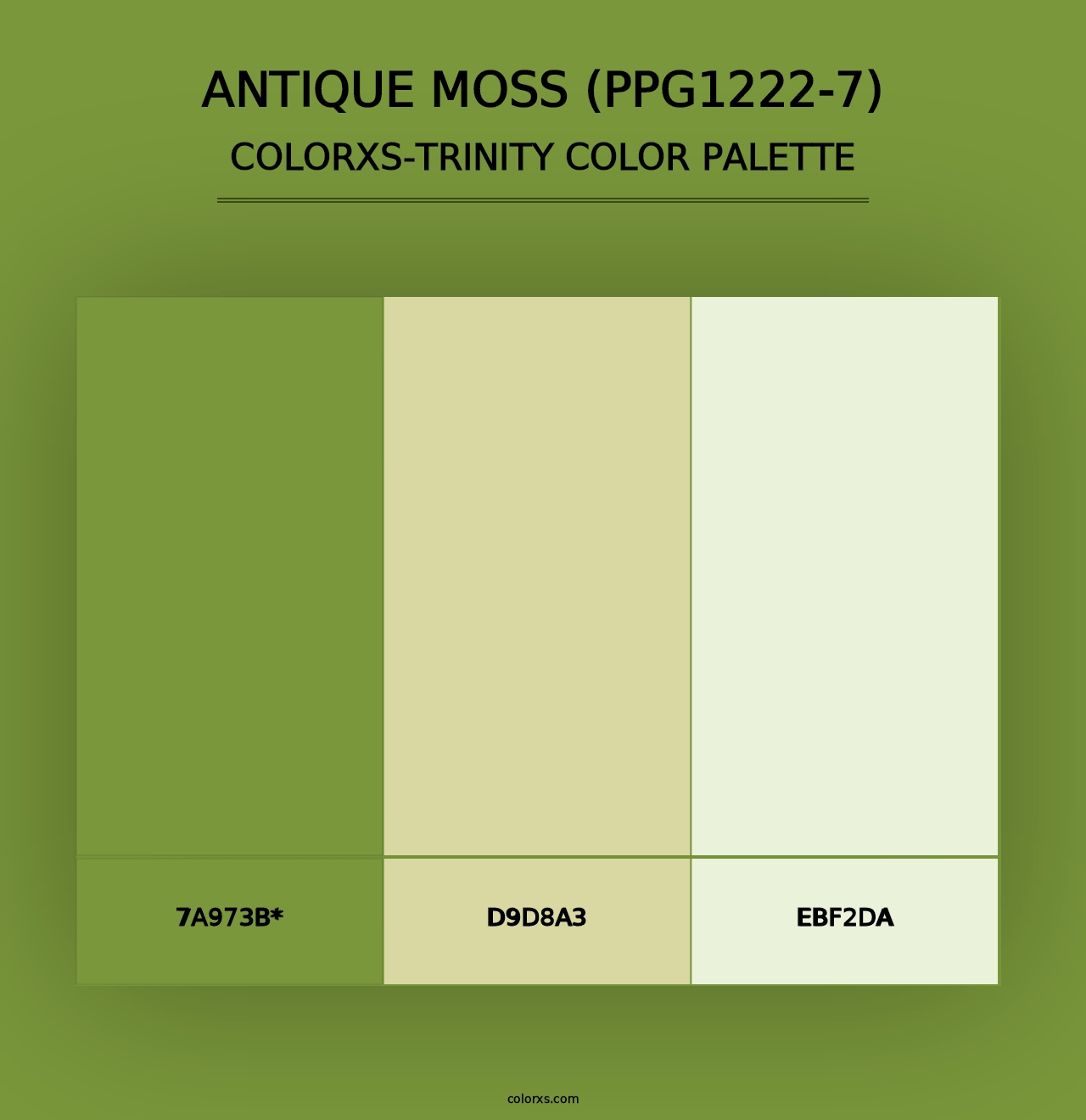 Antique Moss (PPG1222-7) - Colorxs Trinity Palette