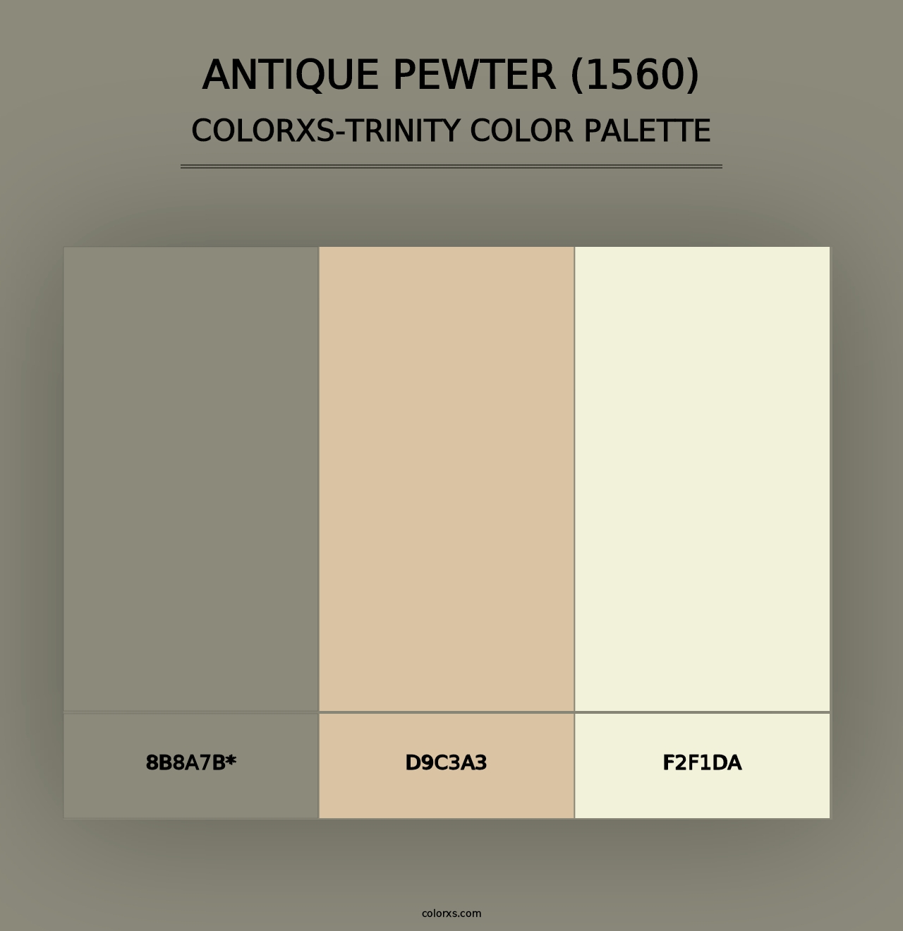 Antique Pewter (1560) - Colorxs Trinity Palette