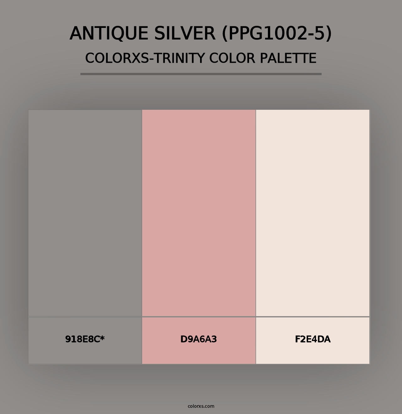 Antique Silver (PPG1002-5) - Colorxs Trinity Palette