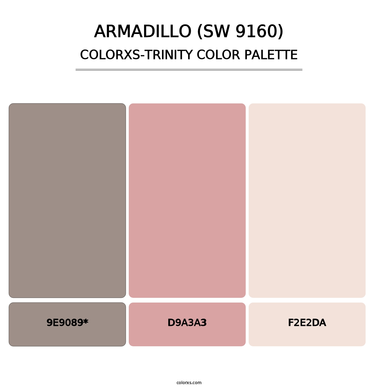 Armadillo (SW 9160) - Colorxs Trinity Palette