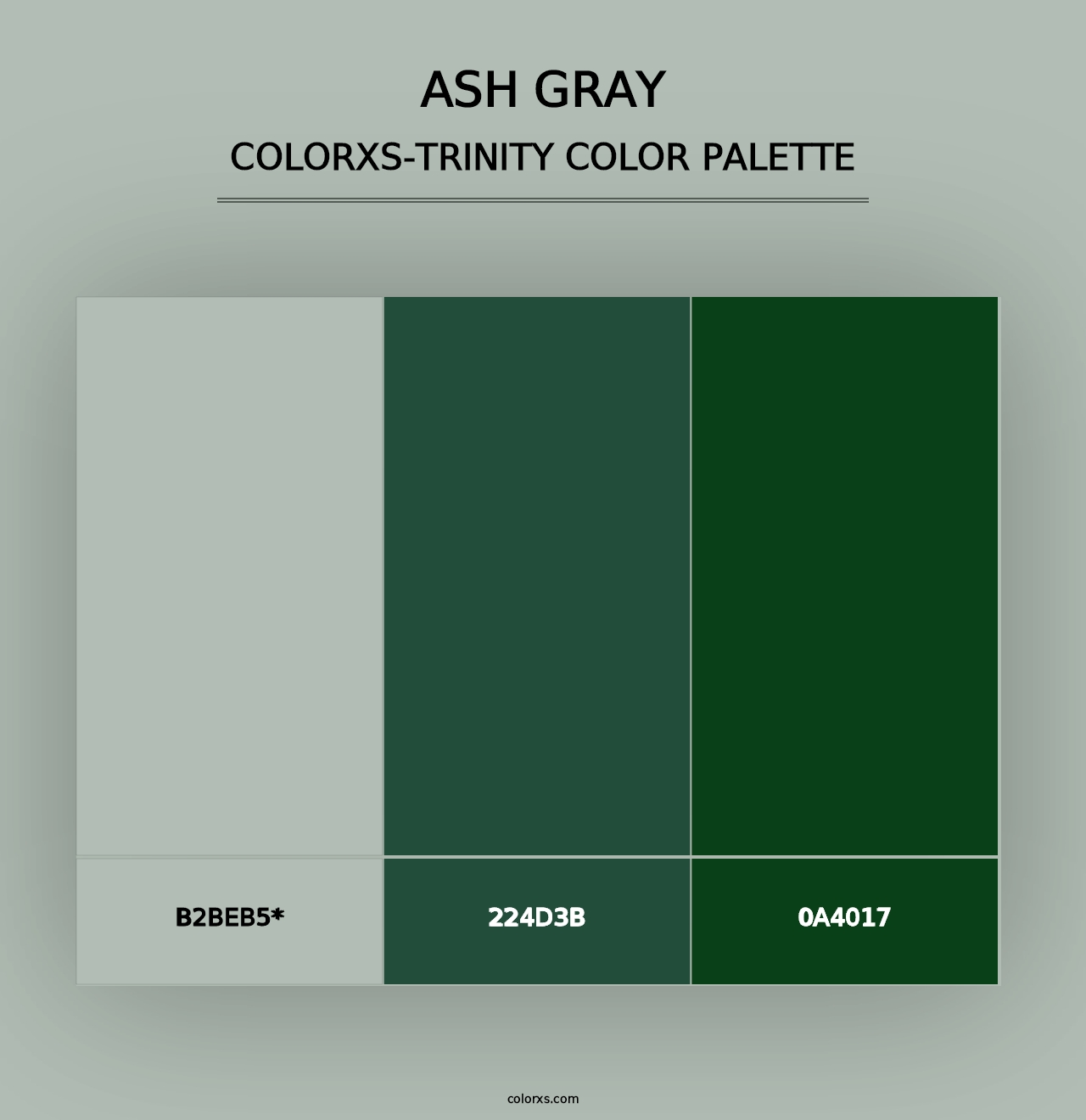 Ash Gray - Colorxs Trinity Palette