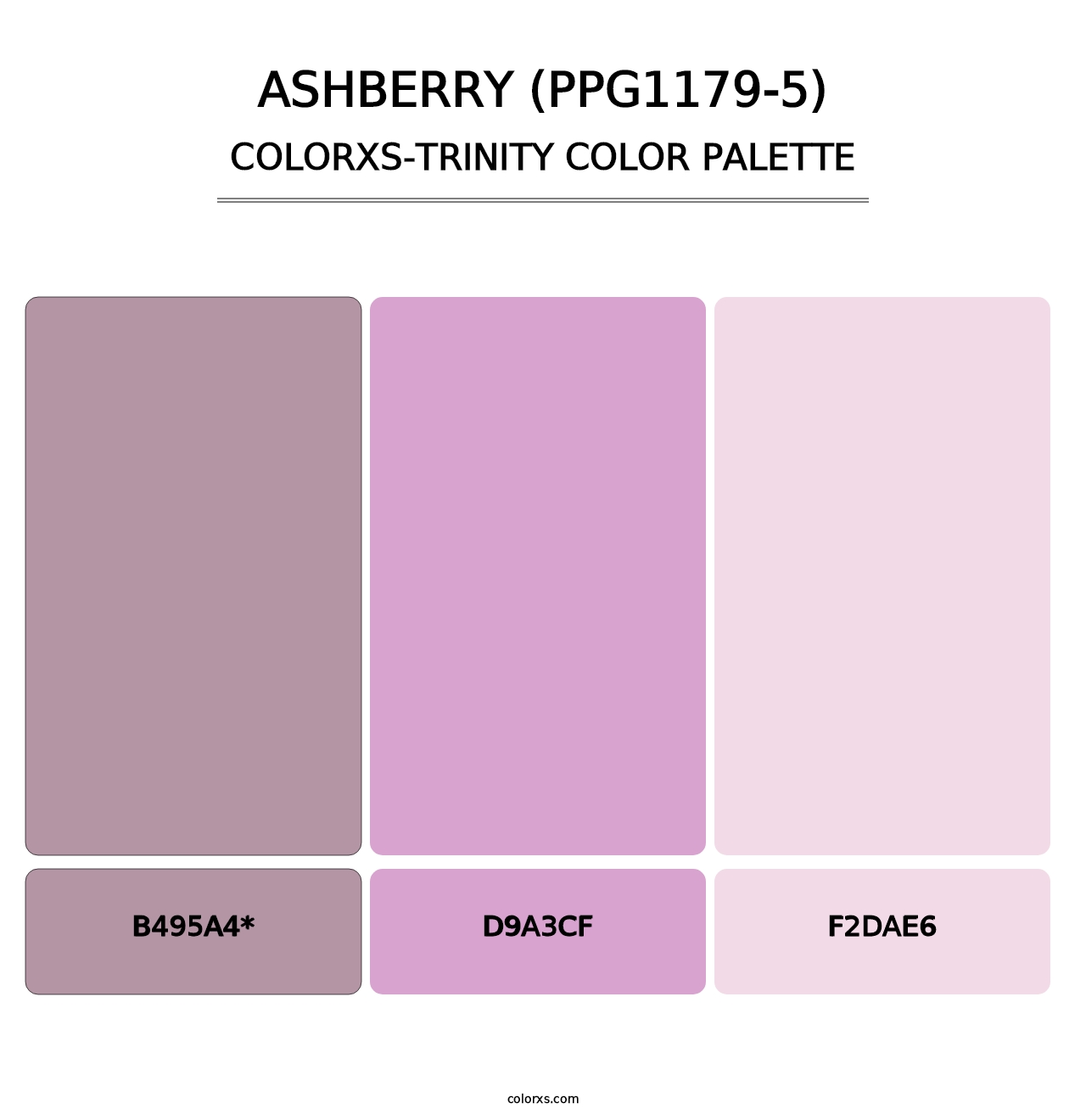 Ashberry (PPG1179-5) - Colorxs Trinity Palette