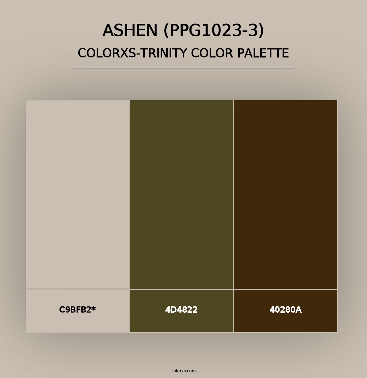 Ashen (PPG1023-3) - Colorxs Trinity Palette