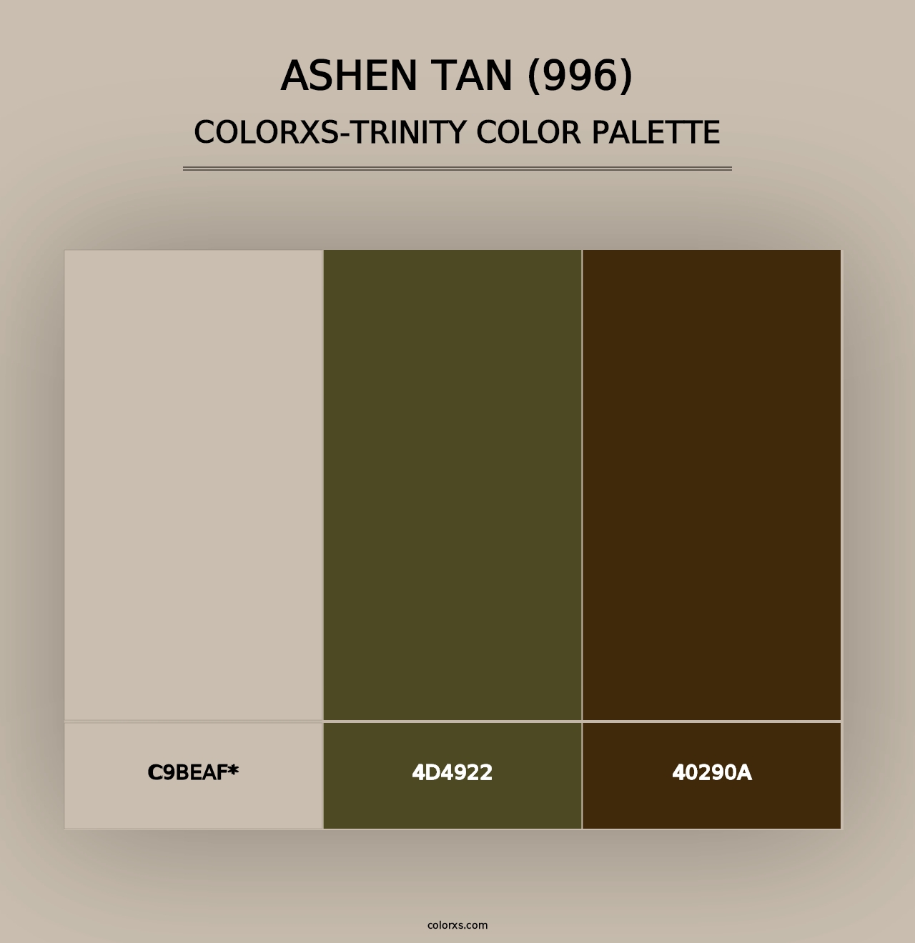 Ashen Tan (996) - Colorxs Trinity Palette