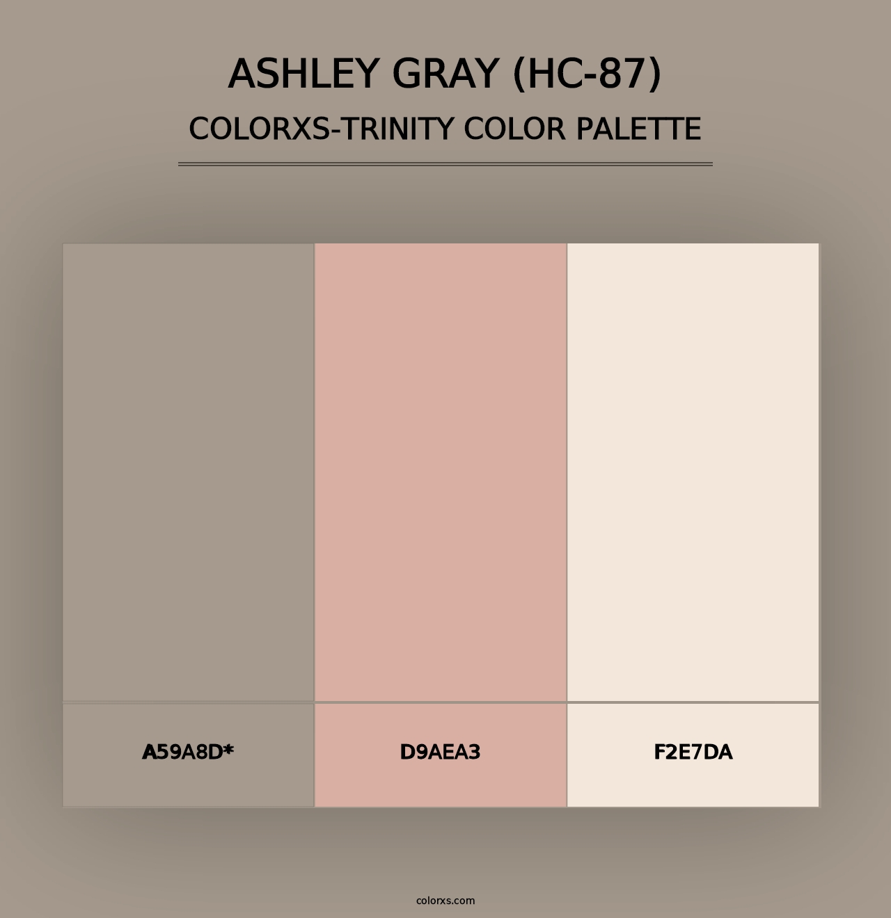 Ashley Gray (HC-87) - Colorxs Trinity Palette