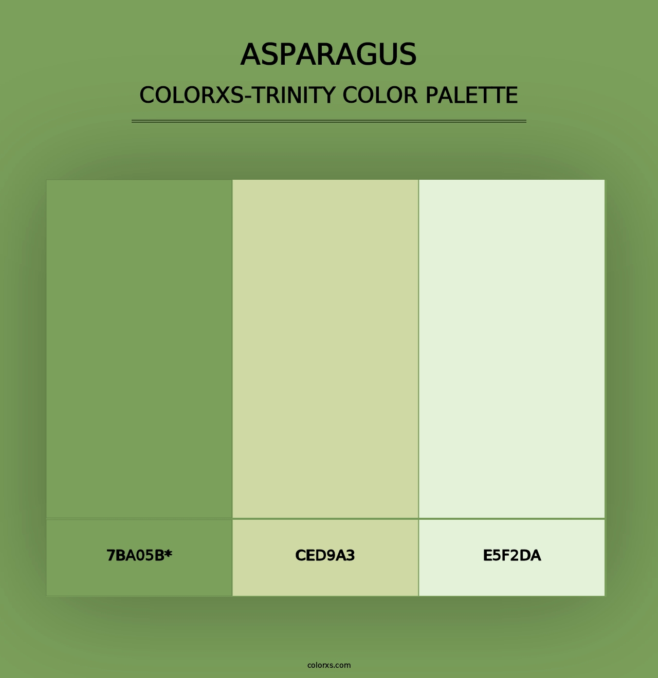 Asparagus - Colorxs Trinity Palette