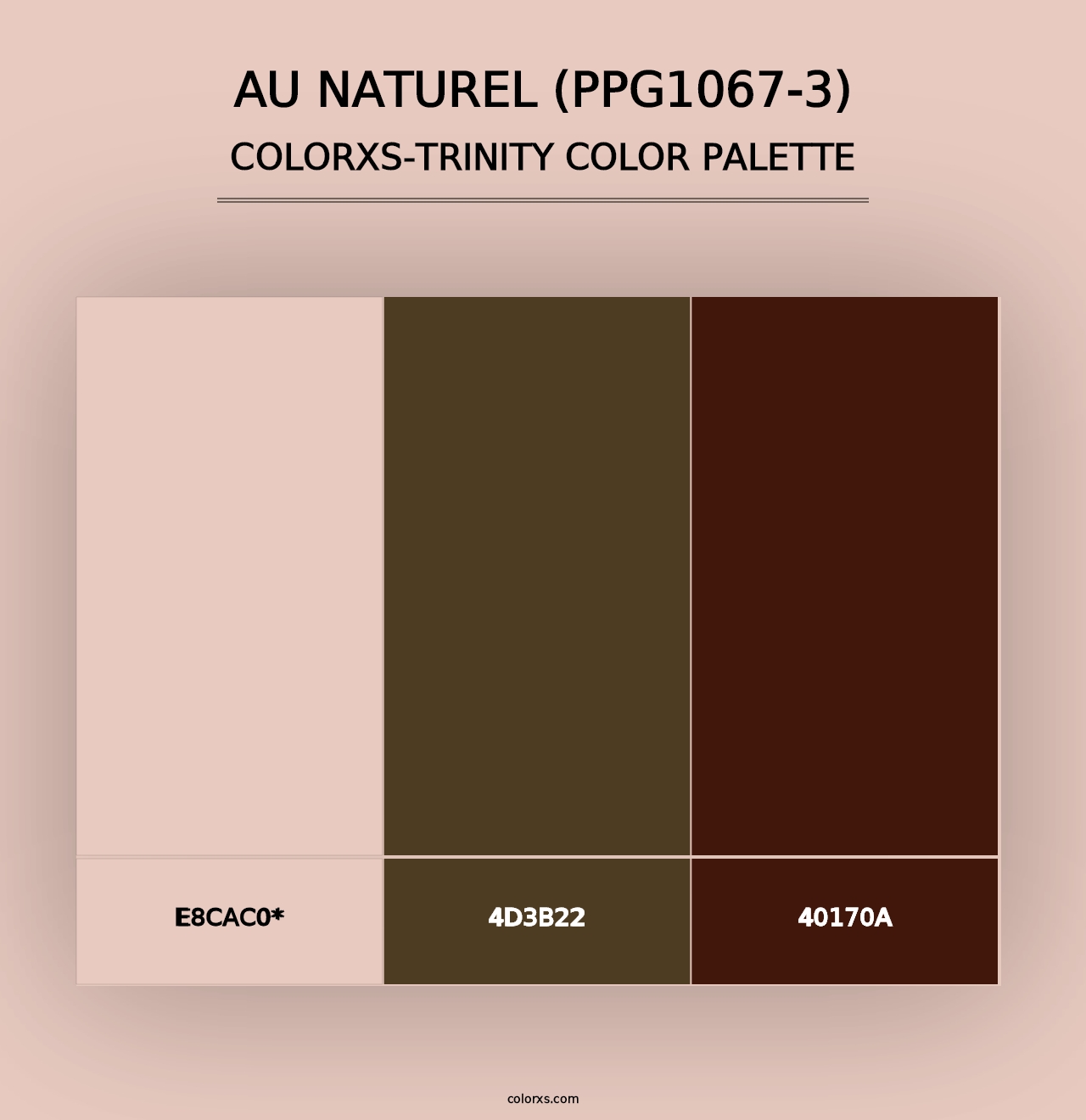 Au Naturel (PPG1067-3) - Colorxs Trinity Palette