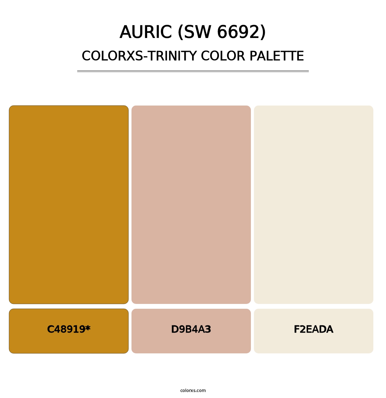 Auric (SW 6692) - Colorxs Trinity Palette