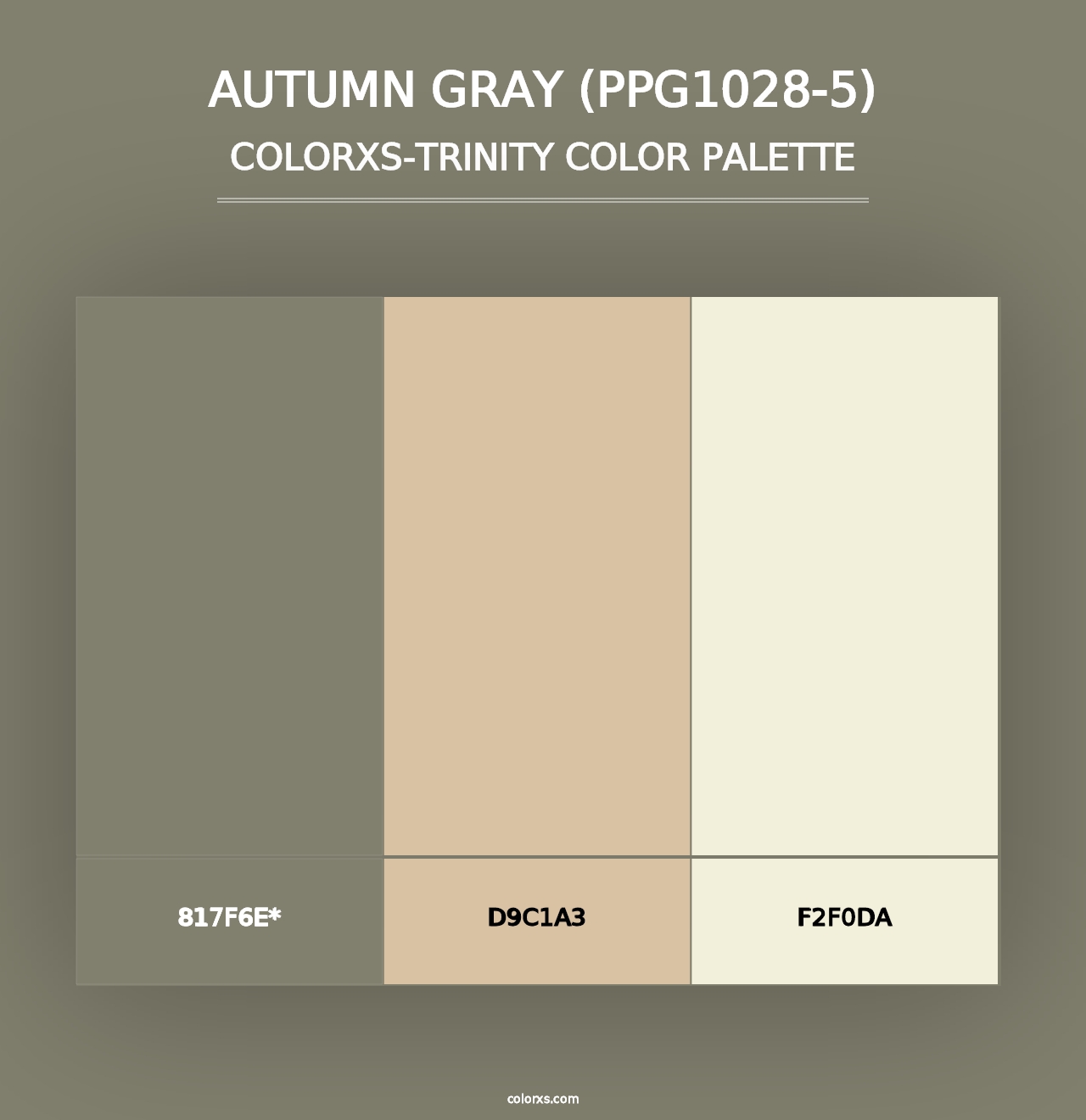 Autumn Gray (PPG1028-5) - Colorxs Trinity Palette