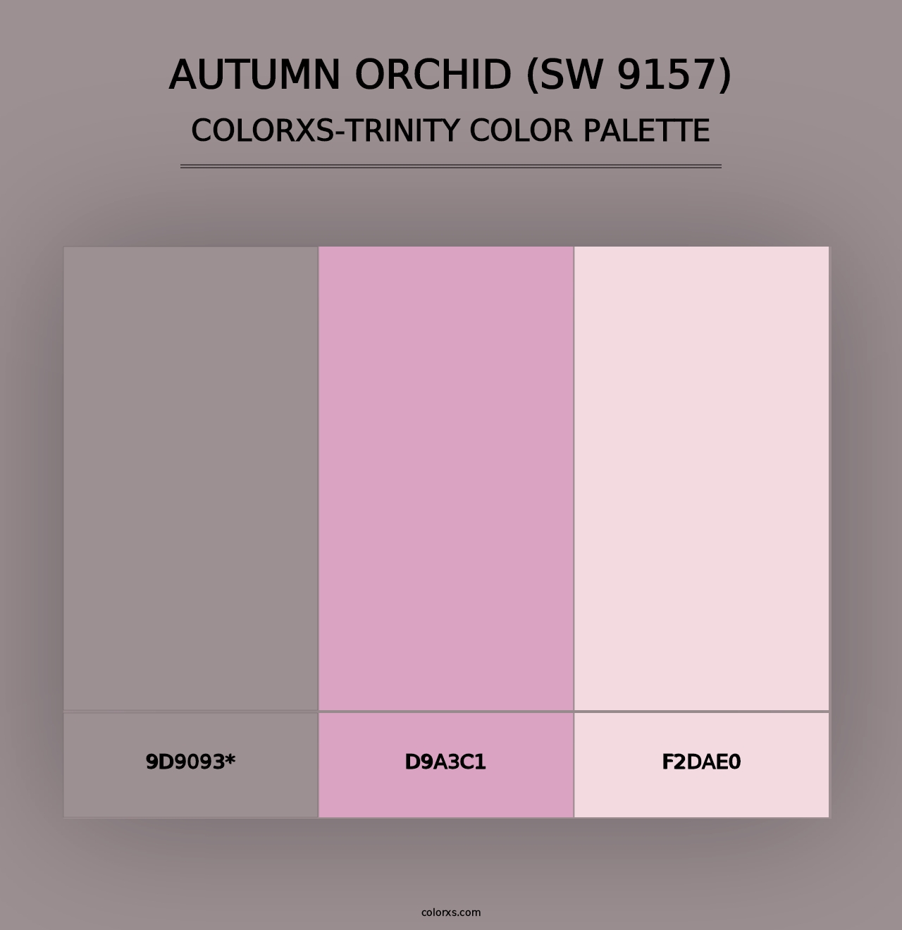 Autumn Orchid (SW 9157) - Colorxs Trinity Palette