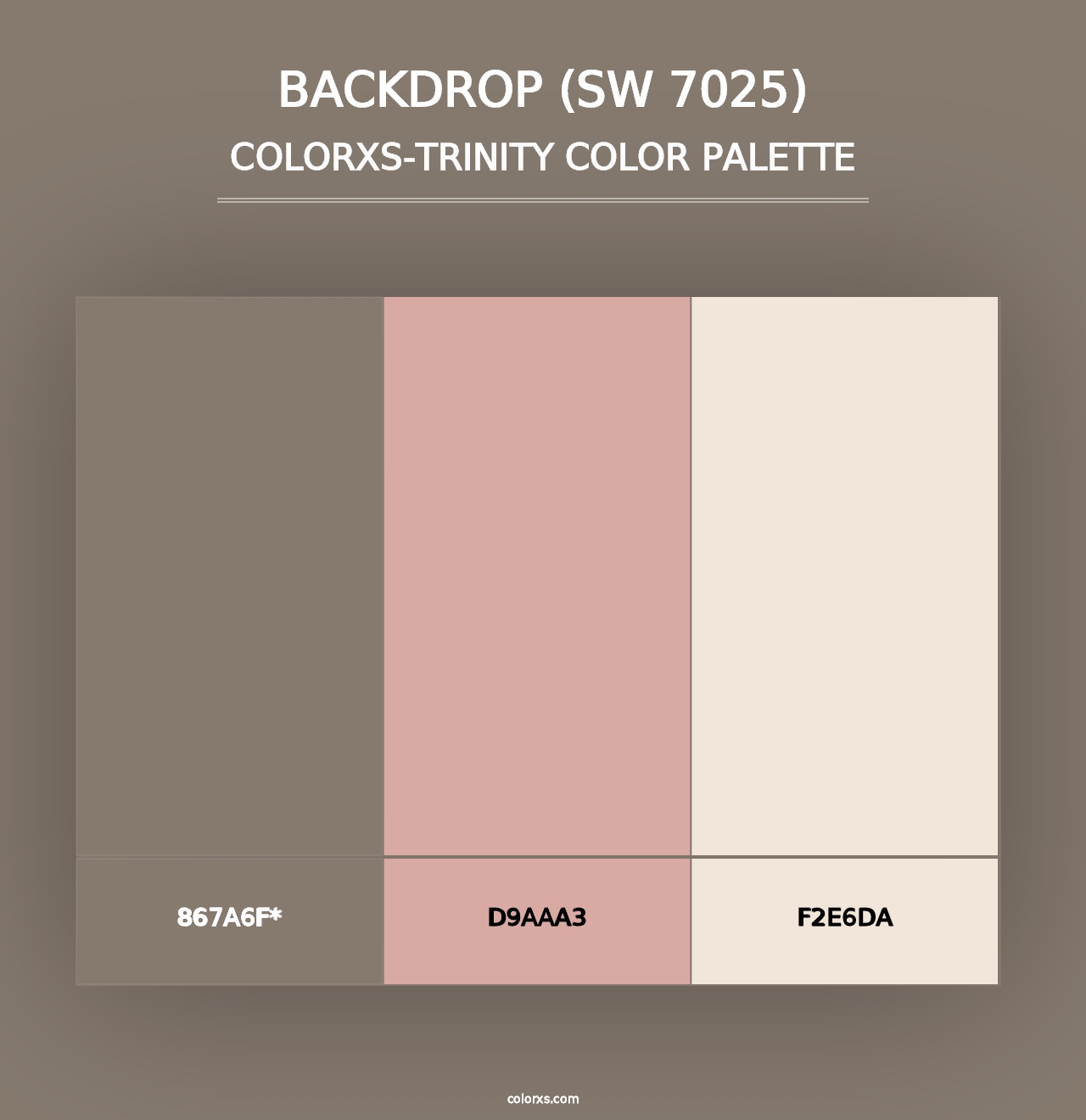 Backdrop (SW 7025) - Colorxs Trinity Palette